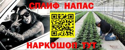 гашик Краснознаменск