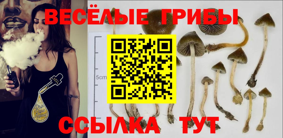 Каменск-Уральский  Галлюциногенные грибы Cubensis  Псилоцибиновые грибы прущие грибы  Вход с VPN 